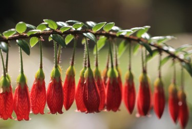 深圳福田私人快速借钱网，轻松解决资金难题