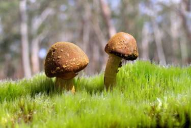 深圳福田私人老板放款：轻松融资的秘密通道